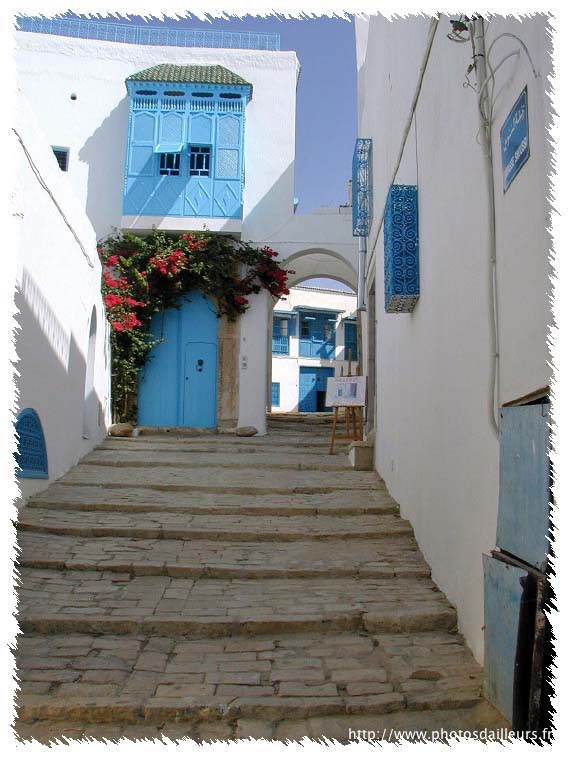 P1010020_5