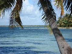 plage dans le parc national de la république dominicaine