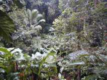 Parc National de la Guadeloupe