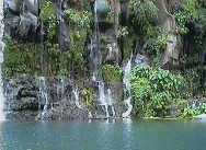 CASCADE DES AIGRETTES À LA REUNION